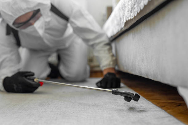Professional Cockroach Control technician working in Fort Polk South, LA