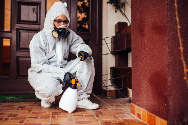 Reliable Cockroach Control contractor in Fort Polk South, LA by Nex Pest Control