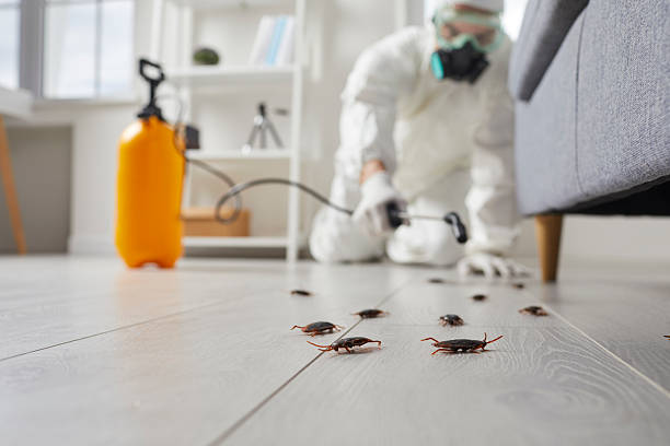 Affordable Cockroach Control solutions in Fort Polk South, LA